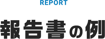 報告書の例