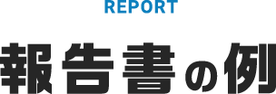 報告書の例