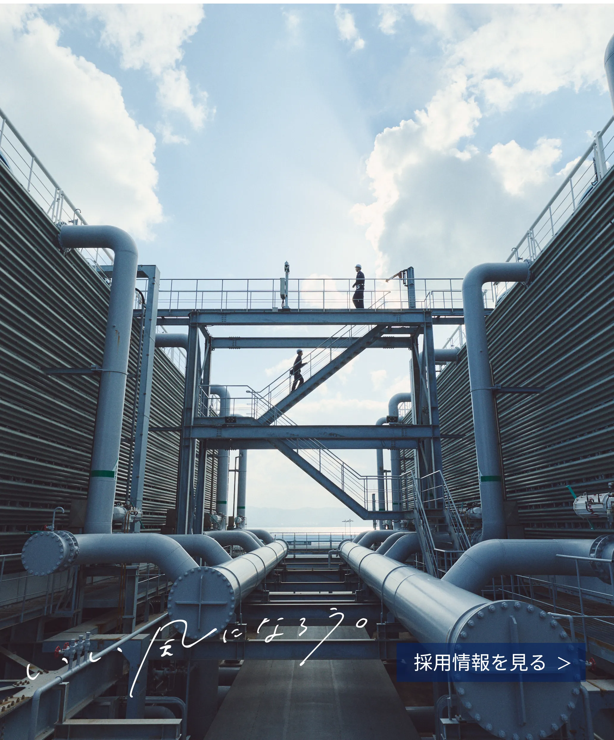 https://www.careers.nikku.co.jp/